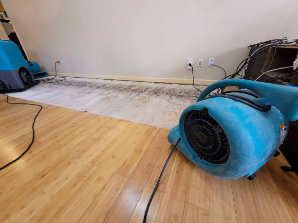 Professional Water Damage Repair technician working in Burlington, IA